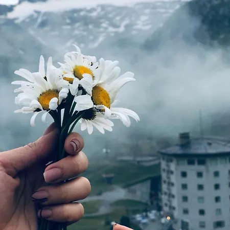 Szálloda Robiei San Carlo (Ticino)
